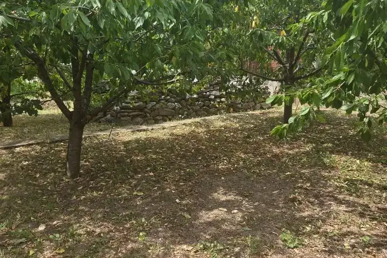 Plot in Kyustendil, Konyavo