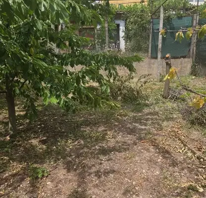 Photo 2 — Plot in Kyustendil, Konyavo