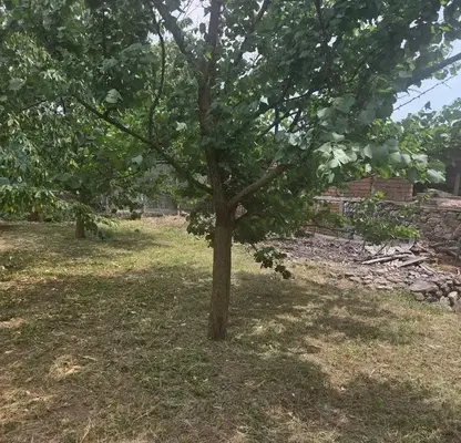 Photo 3 — Plot in Kyustendil, Konyavo