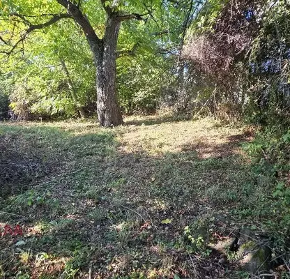 Photo 3 — Plot in Pernik, Kopanica