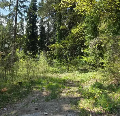 Photo 3 — Plot in Sofia, Kostenec