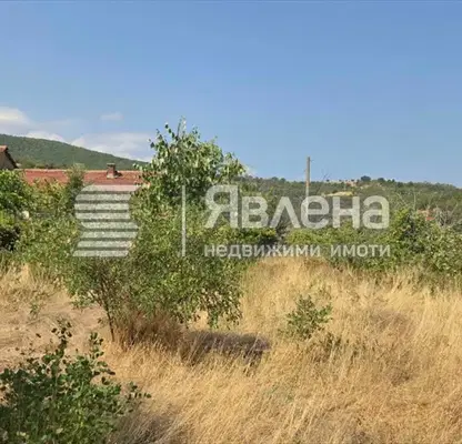 Снимка 3 — Парцел в Пазарджик, с. Козарско