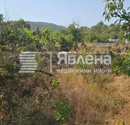 Снимка 4 — Парцел в Пазарджик, с. Козарско