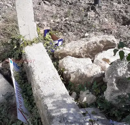 Photo 3 — Plot in Dobrich, Kranevo