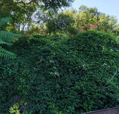 Photo 4 — Plot in Ruse, Krasen
