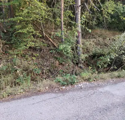Photo 3 — Plot in Lozen