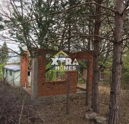 Photo 5 — Plot in Lozen