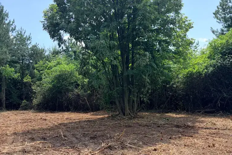 Plot in Lozen