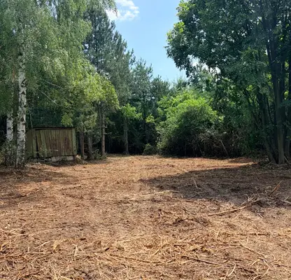 Photo 3 — Plot in Lozen