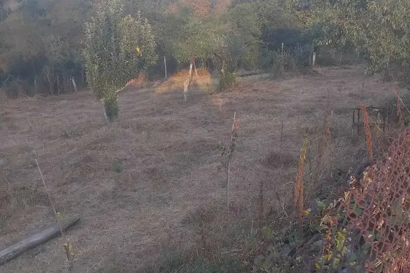 Парцел в София, с. Мирово