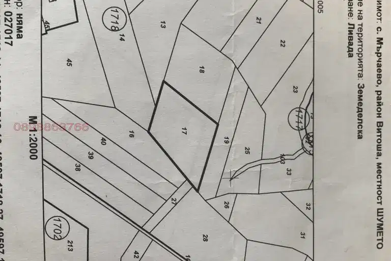 Plot in Myrchaevo