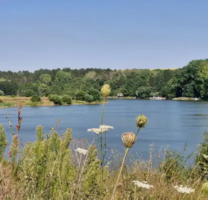 Photo 2 — Plot in Varna, Nikolaevka