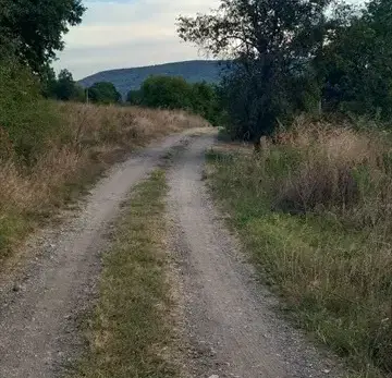 Снимка 5 — Парцел в Стара Загора, с. Ново село