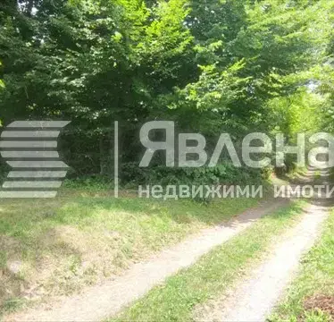 Photo 2 — Plot in Lovech, Oreshak