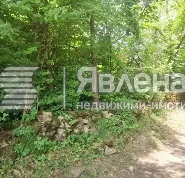 Photo 4 — Plot in Lovech, Oreshak