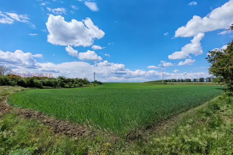 Plot in Dobrich, Pchelarovo