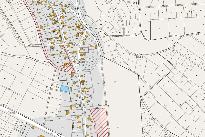 Plot in Sofia, Pchelin