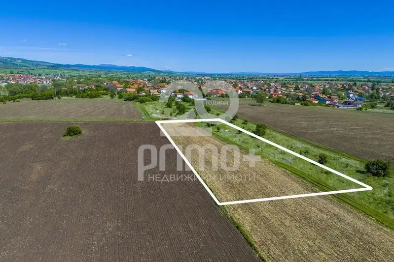 Plot in Sofia, Petyrch