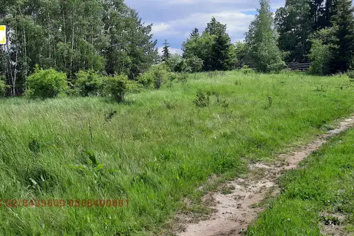 Plot in Plana