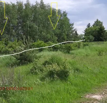 Photo 2 — Plot in Plana