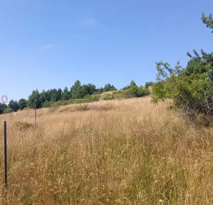 Photo 4 — Plot in Plana