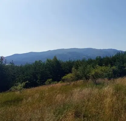 Photo 5 — Plot in Plana