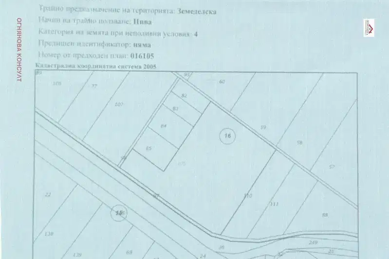 Plot in Sofia, Prolesha