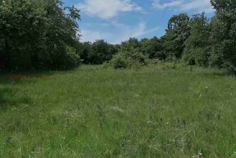 Plot in Pernik, Rejanci