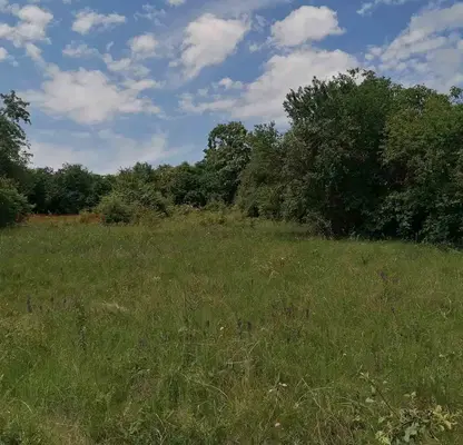 Photo 3 — Plot in Pernik, Rejanci