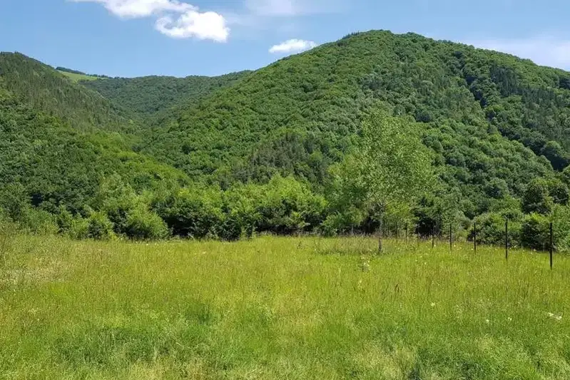 Plot in Lovech, Ribarica