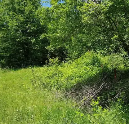 Photo 5 — Plot in Lovech, Ribarica