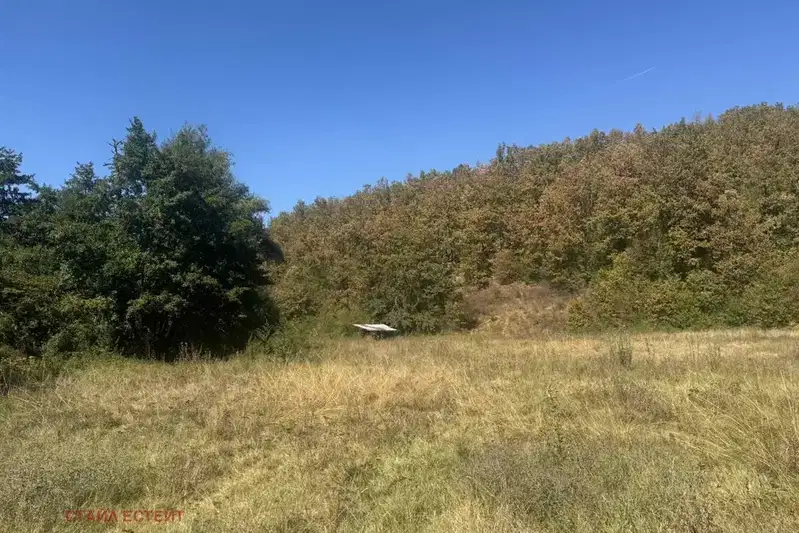 Plot in Sofia, Ribarica