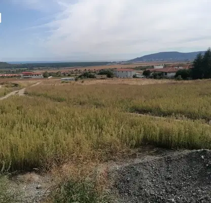 Photo 2 — Plot in Dobrich, Rogachevo