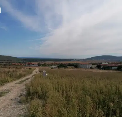Photo 3 — Plot in Dobrich, Rogachevo