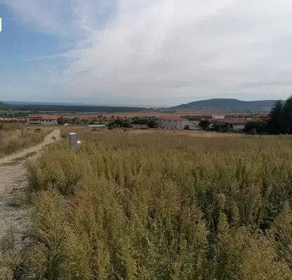 Photo 4 — Plot in Dobrich, Rogachevo