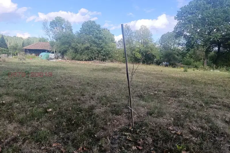 Plot in Veliko Tyrnovo, Ruhovci