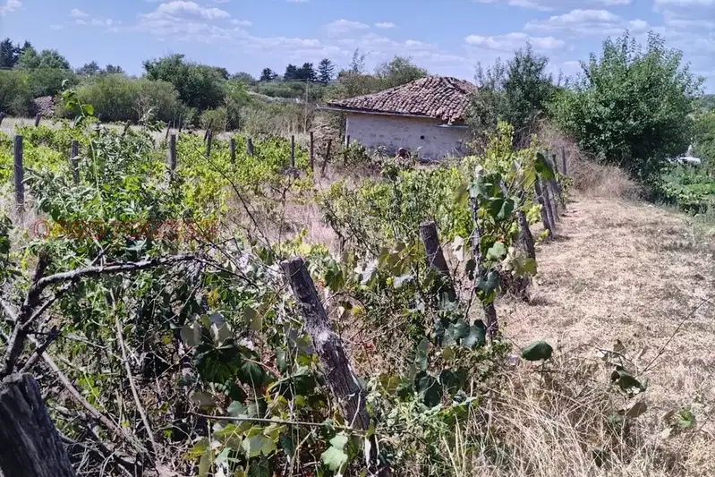 Plot in Dobrich, Slaveevo
