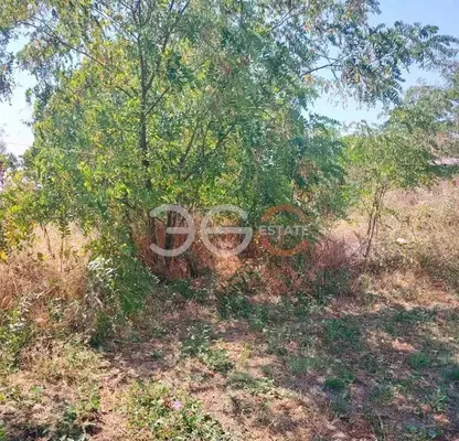 Photo 4 — Plot in Varna, Slynchevo