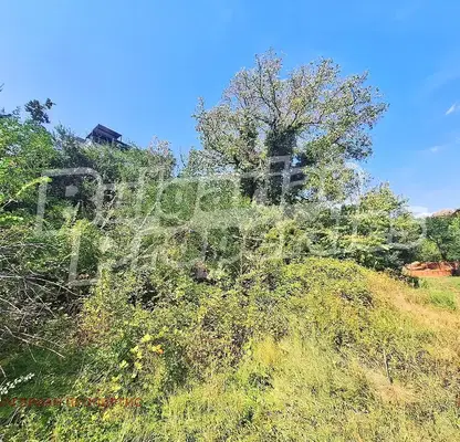 Photo 2 — Plot in Kyustendil, Smochevo