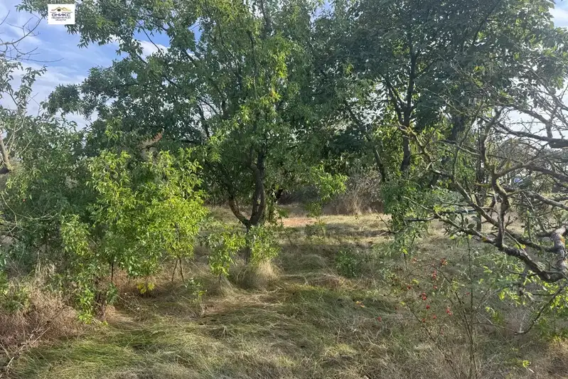 Парцел в Добрич, с. Соколово