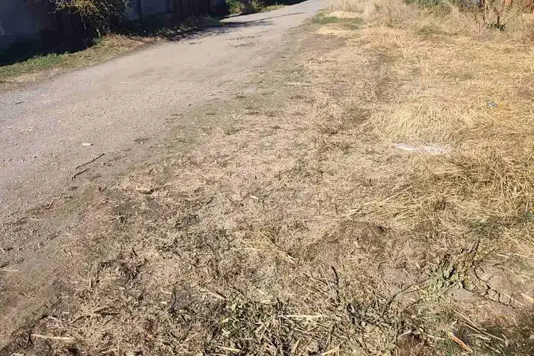 Plot in Pernik, Stefanovo