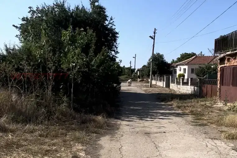Plot in Dobrich, Sveti Nikola