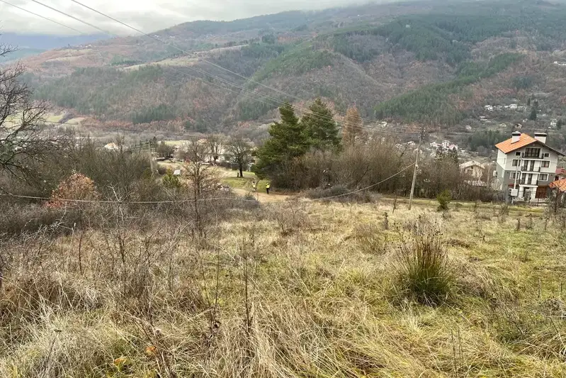 Plot in Sofia, Svidnya
