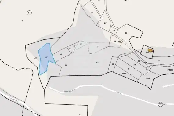 Plot in Sofia, Svidnya