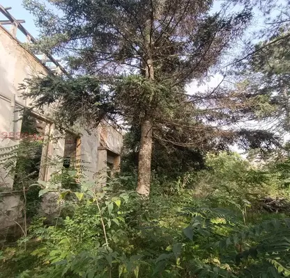 Снимка 2 — Парцел в Добрич, с. Сърнино