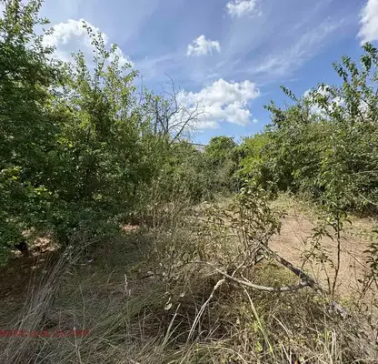 Photo 4 — Plot in Dobrich, Topola