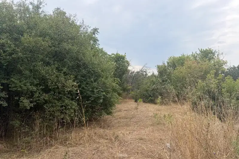 Парцел в с. Тополи