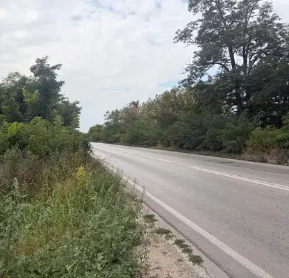 Снимка 4 — Парцел в с. Тополи