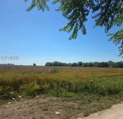 Photo 2 — Plot in Topoli