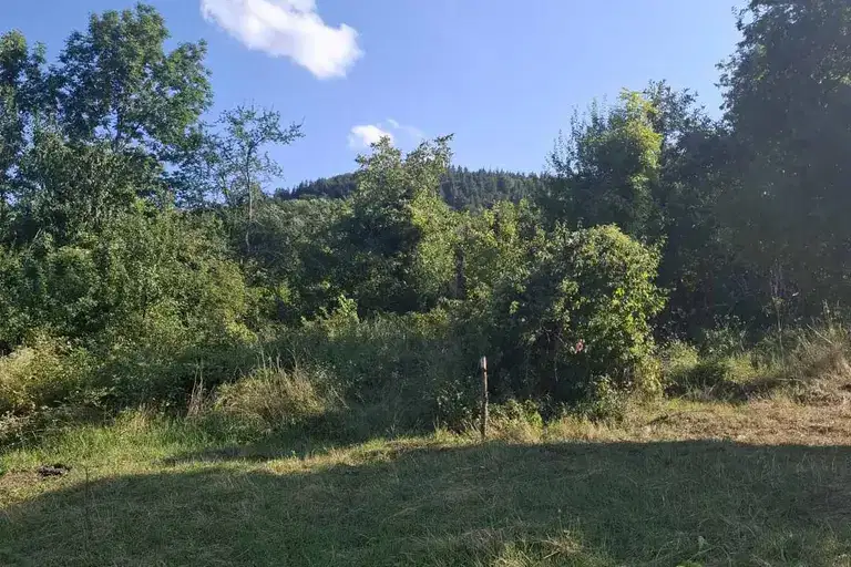 Plot in Lovech, Velchevo